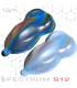 holografische verf Spectrum