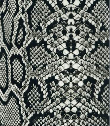 Film voor hydrografisch transfer 32 motieven in de keuze