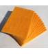 Eponge abrasives 4 types (lot de 5) Or