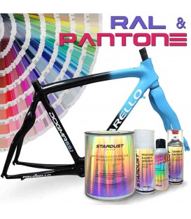 Set van verf voor RAL fiets of PANTONE – Stardust Bike