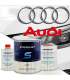 Kleurcode Audi - Spuit verf 2C of in pot met verharder