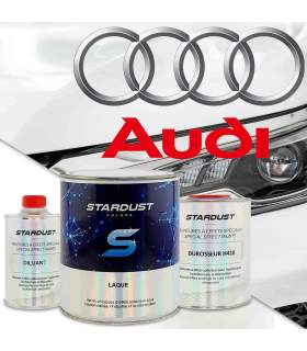 More about Kleurcode AUDI - 2 componenten autolakken op kleur gemaakt