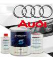 Kleurcode Audi - Spuit verf 2C of in pot met verharder