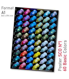 SCO Opalescent Chameleon Systeem Poster