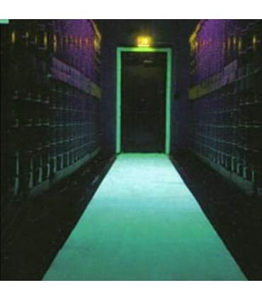 Fosforescerende Polyurethaan Blanke Lak PHU2K