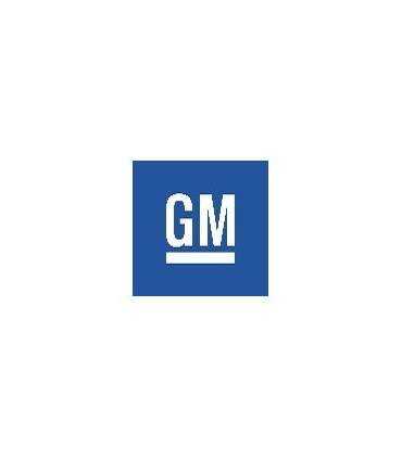 AUTOLACK GENERAL MOTORS