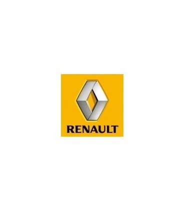 AUTOLAK RENAULT