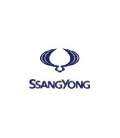 AUTOLACK SSANGYONG 