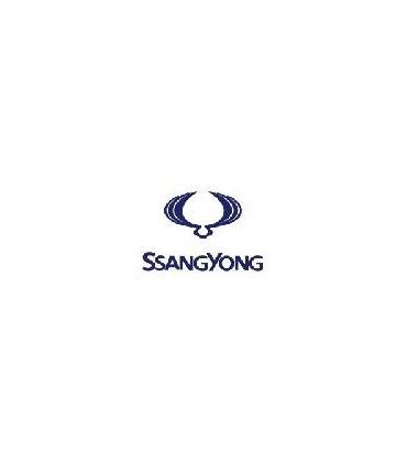 AUTOLACK SSANGYONG 