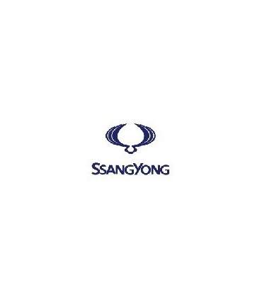 AUTOLACK SSANGYONG 