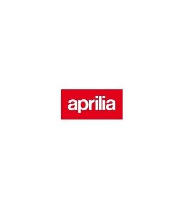 PAINT APRILIA 