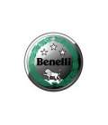 PAINT BENELLI