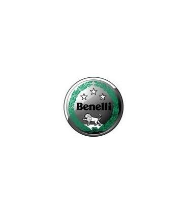 PAINT BENELLI