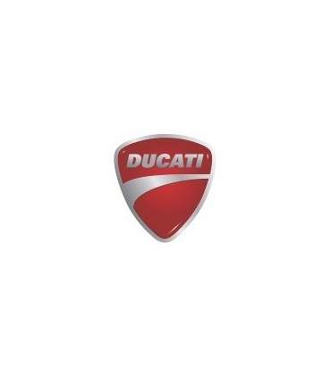 PAINT DUCATI