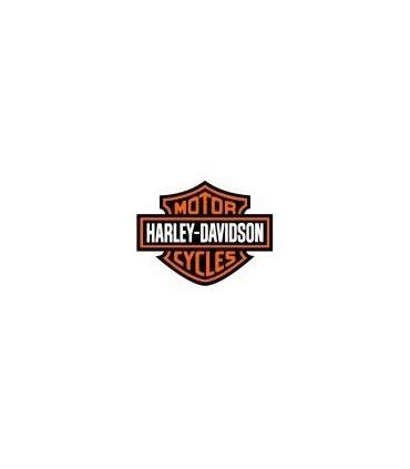 PAINT HARLEY-DAVIDSON