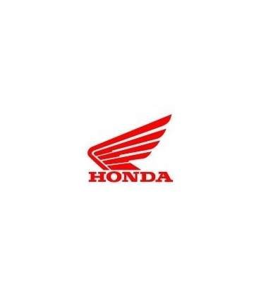 PAINT HONDA