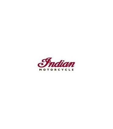 PAINT INDIAN MOTORCYCLE