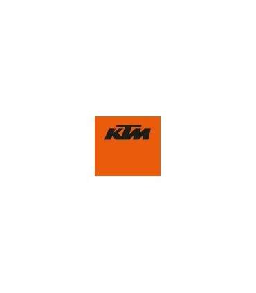 PAINT KTM