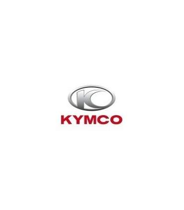 PAINT KYMCO