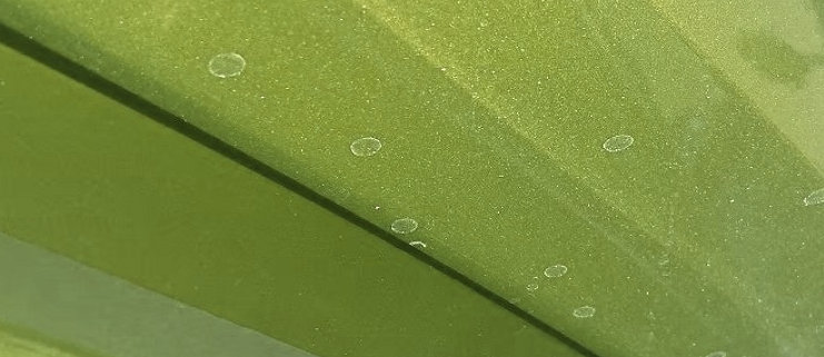 watervlekken